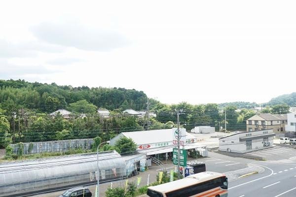 ラーゼンパラスト 眺望
