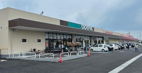 グリーンエース西岩根 おどや 江川店