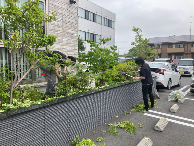 夏に向けて植栽の剪定をしました